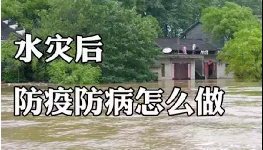 &#20843;&#25106;&#20307;&#32946;&#40;&#20013;&#22269;&#41;&#23448;&#26041;&#32593;&#31449;&#45;&#30331;&#24405;&#20837;&#21475;